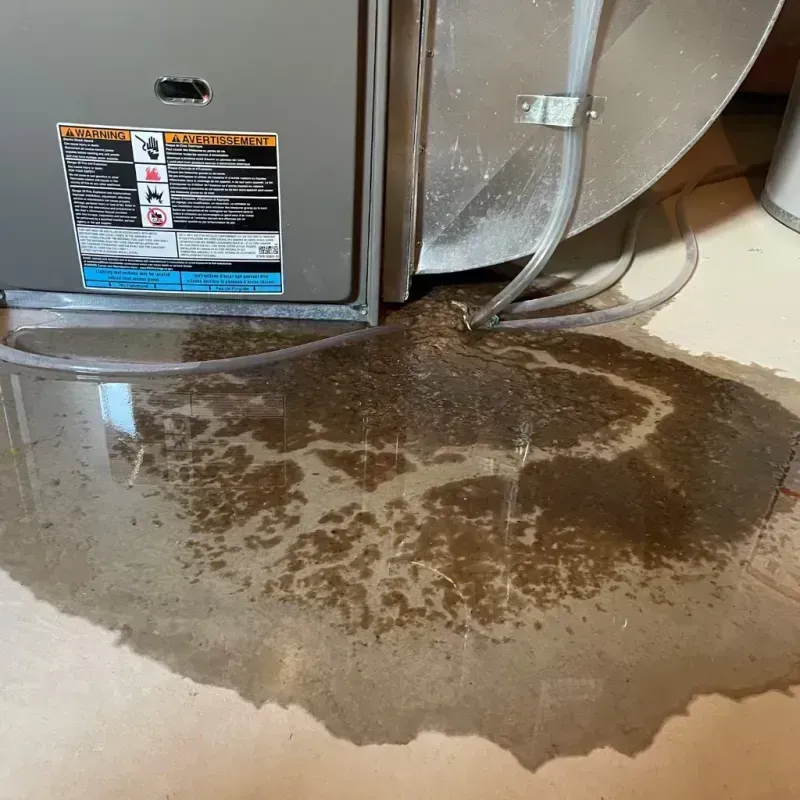 Appliance Leak Cleanup in Jefferson County, AR